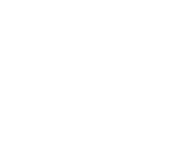 Vinzenzmurr